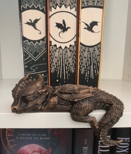 Sleeping dragon bookshelf - dragon,