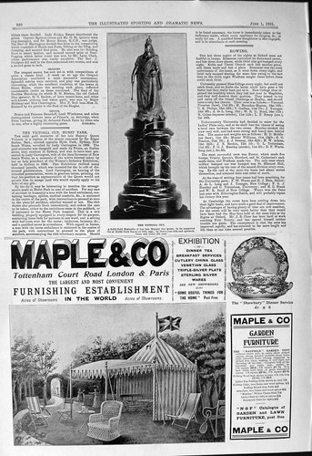 Old 1901 victoria cup - old, maple