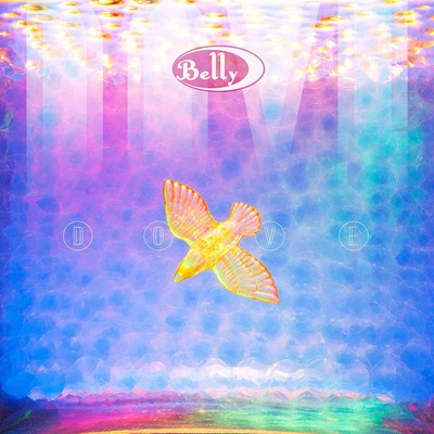 Belly dove - belly:,