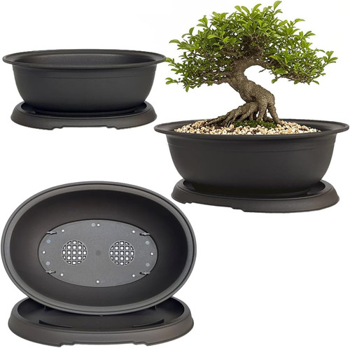 Pack mixed size oval - pack,