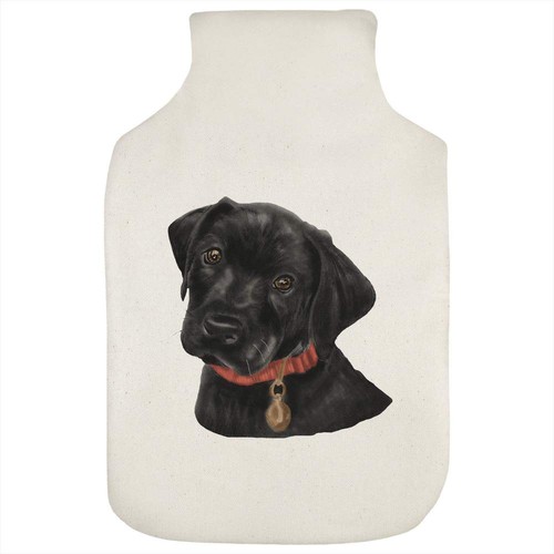 Labrador puppy hot water - puppy',