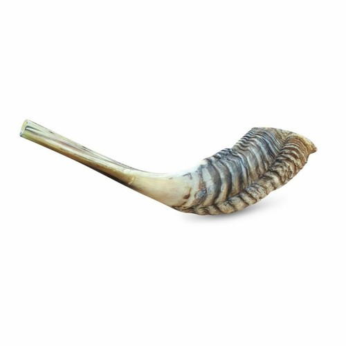 Ram horn blowing - blowing, shofar