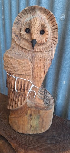Chainsaw carving owl - carving, wood