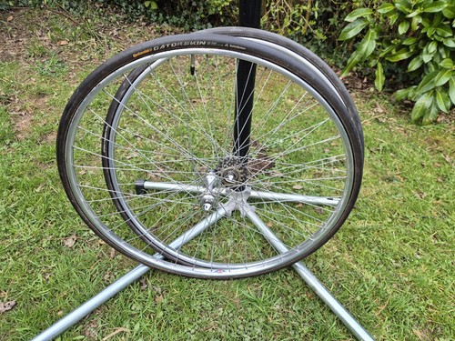 Campagnolo tipo cerchi nisi - , 5