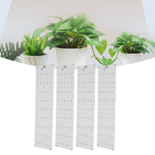 Plug cabinet plant - us,