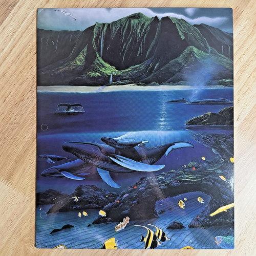 Vtg wyland kauai - kauai, moon