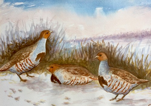 Original watercolour painting