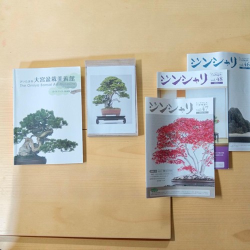 Omiya bonsai museum special - bonsai,