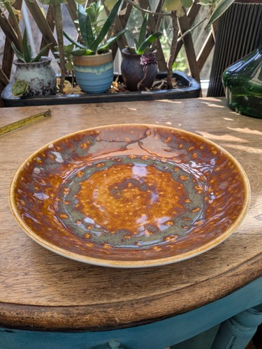 Steelite pottery 22cm - , bowl