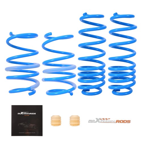 25mm lowering springs - lowering,