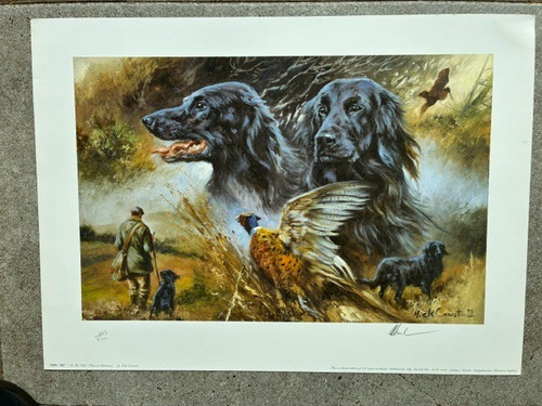 Mick cawston signed - mick,
