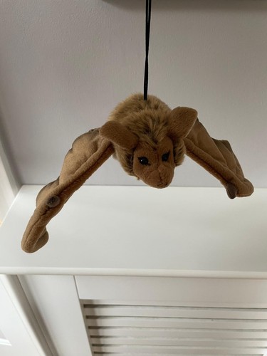 Living nature flying - living, hanging