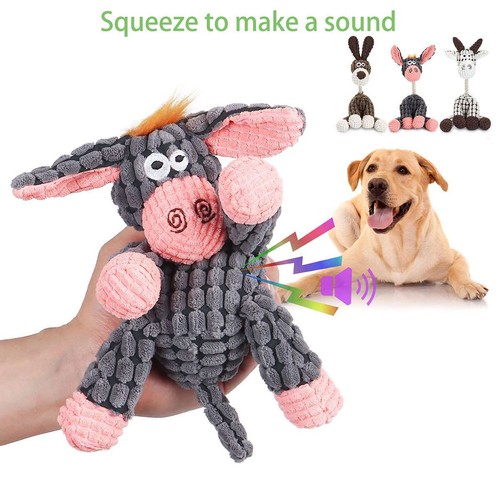 Pet chew toy - pet, dog
