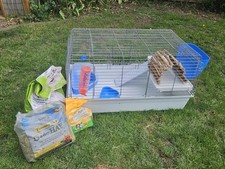 Rabbit, Guinea Pig, Small