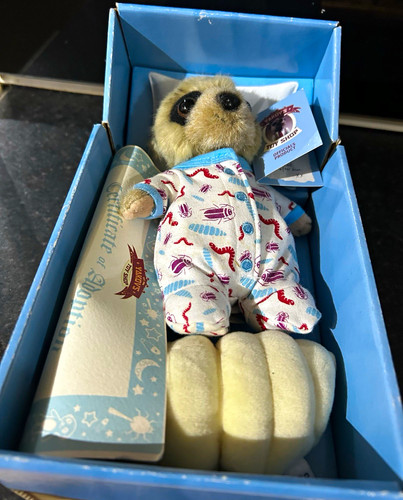 Yakov toy shop - yakov's, compare