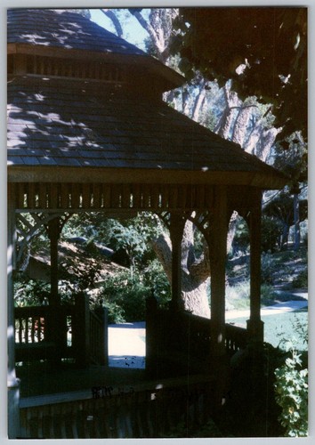 Vtg color snapshot ornate - snapshot,
