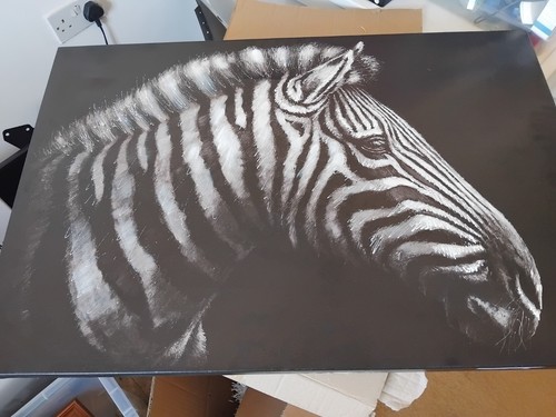 Zebra canvas - zebra,