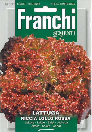 Franchi seeds lettuce - lettuce, lattuga