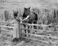 International Velvet (1978)