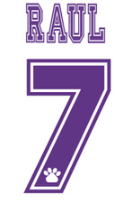 Real Madrid Raul Nameset Shirt Soccer Number Letter Heat Print Football 96 H