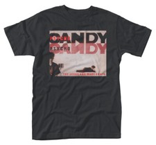 The Jesus And Mary Chain