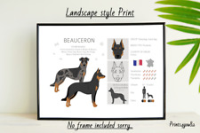 BEAUCERON DOG PET A4 PICTURE PRINT POSTER WALL ART HOME DECOR UNFRAMED GIFT NEW