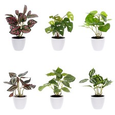 Artificial Plants in Pots Faux
