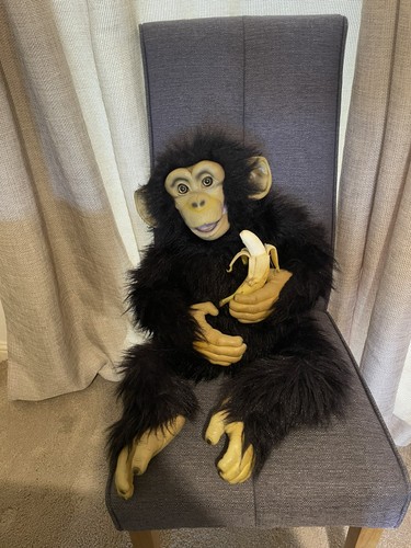 Lifelike baby gorilla - ,