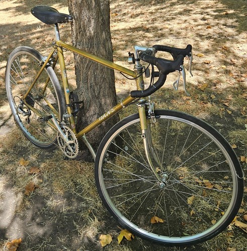 Custom 1980 dawes - custom, galaxy