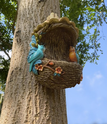 Tree face bird feeder - bird, wall