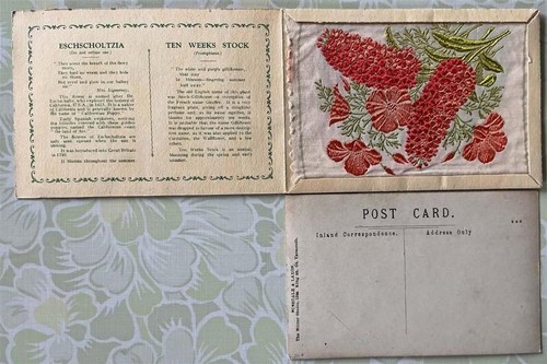 Kensitas wix silk - silk, flower