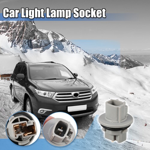 Turn signal light bulb socket - signal,