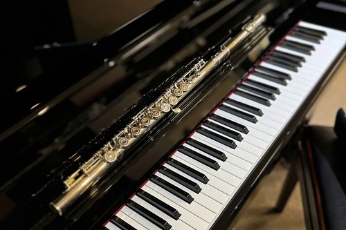 Yamaha yfl412 solid silver - yamaha,