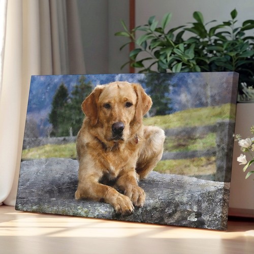 Golden labrador dog canvas - golden,