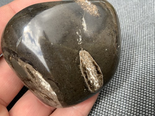 Rare polished ichthyosaur rib - ichthyosaur,