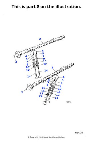 Jaguar genuine valve spring - genuine, 2x