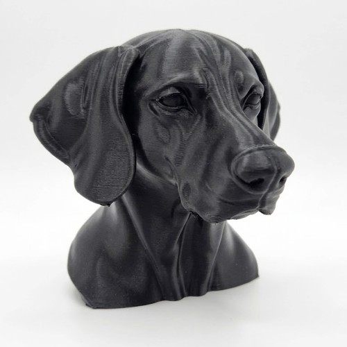 Weimaraner dog bust home - bust,