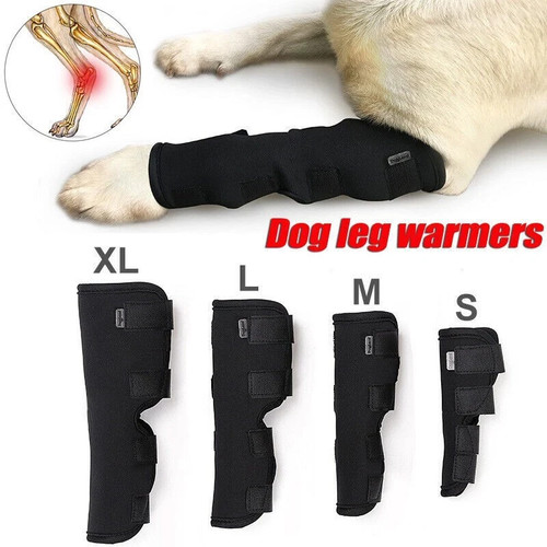 Pet dog leg brace front - pet,