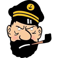 Captain Haddock TinTin Celebrity Card Face Mask - Ready To Wear - Fancy Dress