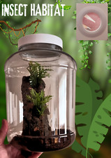 New Style Incest Habitat Ideal