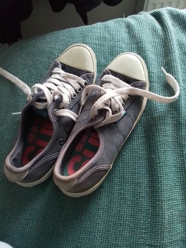 Superdry canvas trainers - superdry,