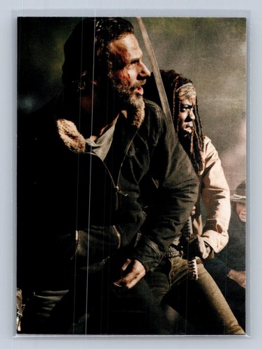 Rick grimes and michonne - and,