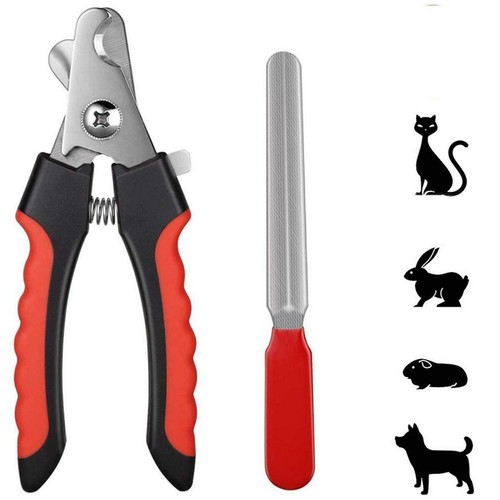 Pet dog cat - cat, nail