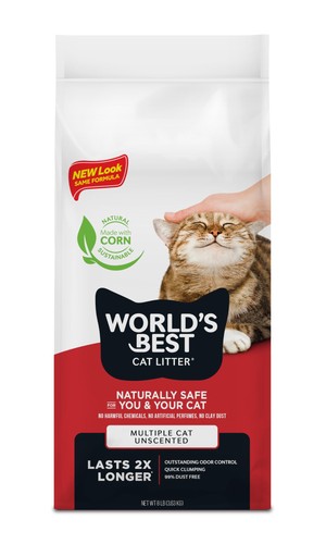 World best cat - best, litter
