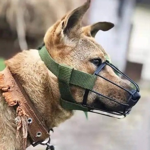 Dog anti bite - anti-bite, muzzle