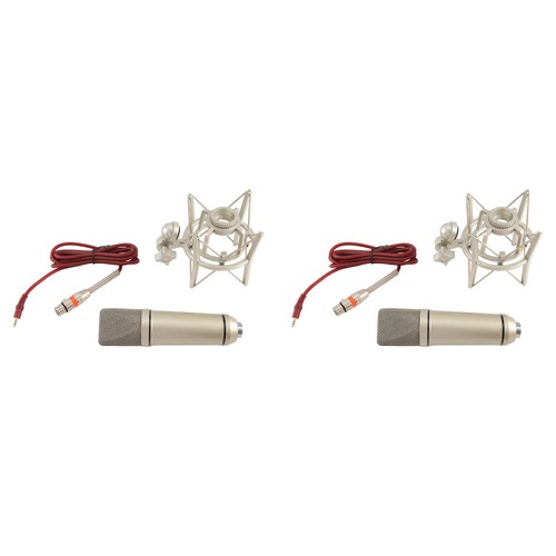 Microphone body diy - 2x,