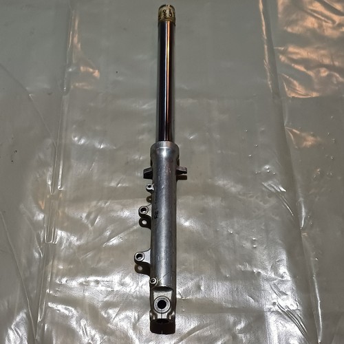 Genuine yamaha fzr1000 genesis - yamaha,