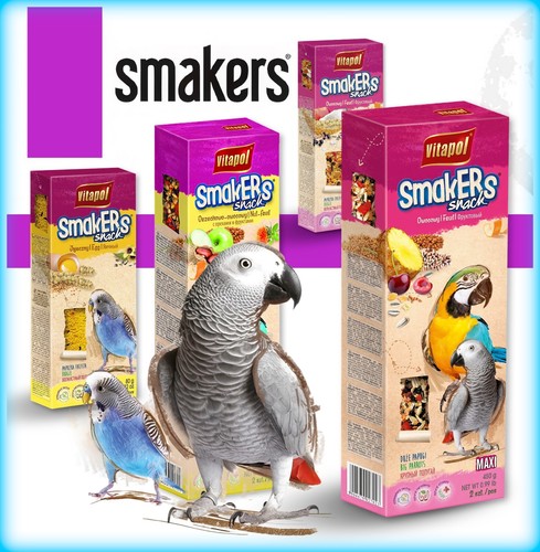Snack treats food budgie - snack,