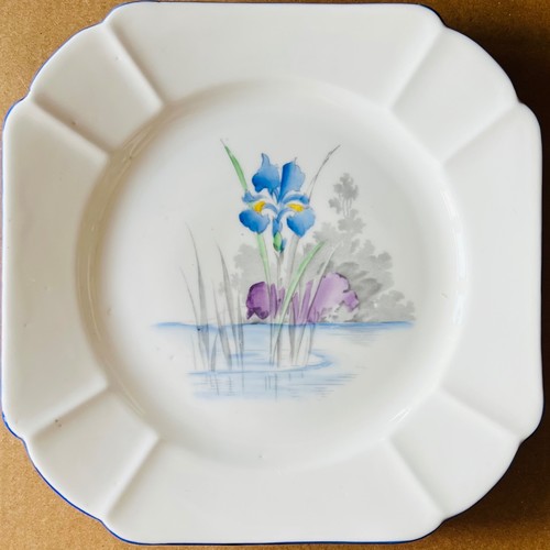 Shelley wileman bone china - shelley,