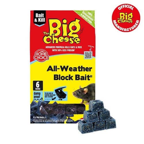 The big cheese rat mouse - the,